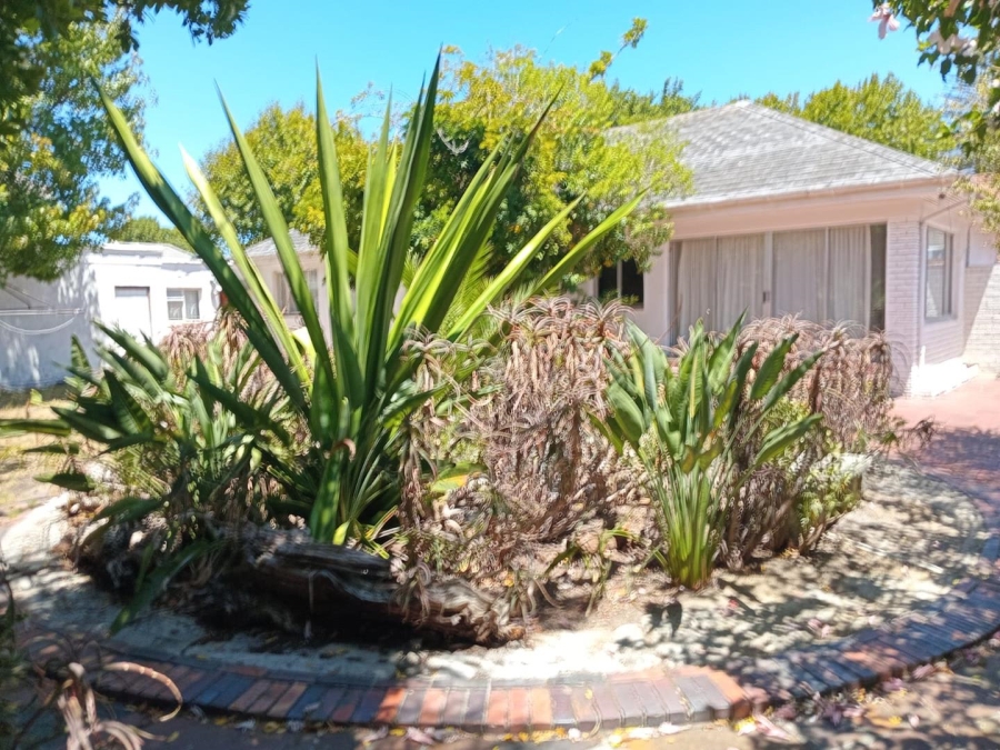 To Let 5 Bedroom Property for Rent in Rondebosch Western Cape